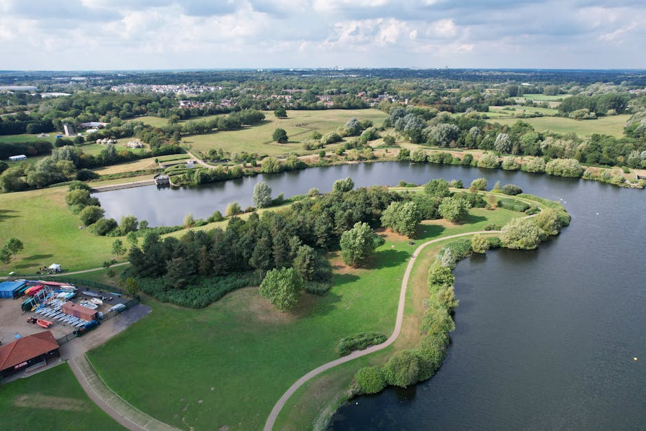 Ruislip Lido rubbish clearance services near the lake